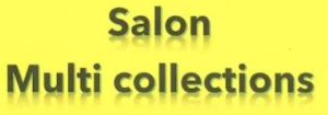 Salon multicollections - Bagnoles de l'Orne Normandie