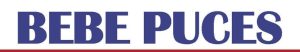 Bébé puces - Plouaret